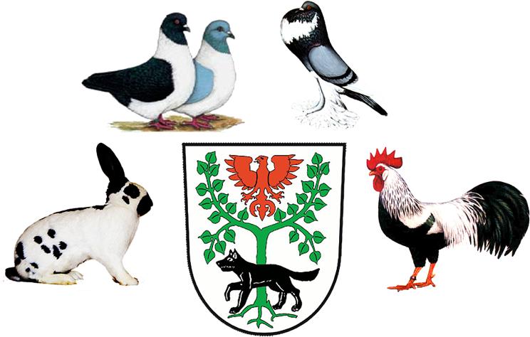 Kleintierzucht Verein Pritzwalk